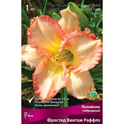 ������ ������ �������� ��������� ������� ������ ������   ����