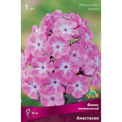 ������ ������ ����� ����������� ���������   ����