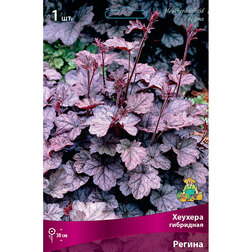 ������ ������ ������� ��������� ������   ����