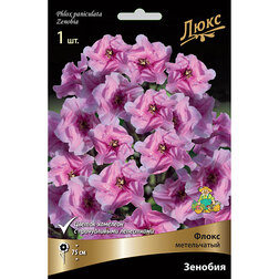 ������ ������ ����� ����������� ������� *   ����