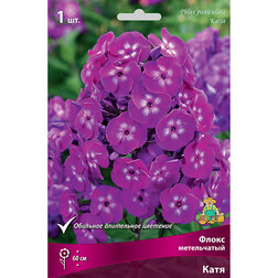 ������ ������ ����� ����������� ����   ����