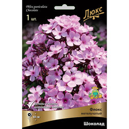 ������ ������ ����� ����������� ������� *   ����