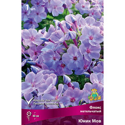 ������ ������ ����������� ����� ����������� ���� ���   ����