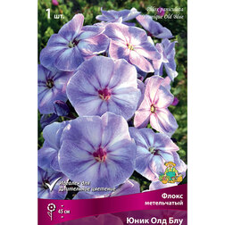 ������ ������ ����� ����������� ���� ��� ���   ����