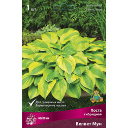 ������ ������ ����� ��������� ������ ���   ����