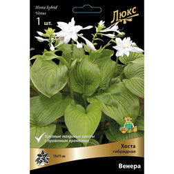 ������ ������ ����� ��������� ������ *   ����