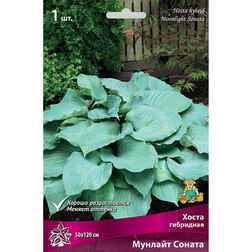 ������ ������ ����� ��������� ������� ������   ����