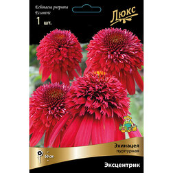 ������ ������ �������� ��������� ���������� *   ����