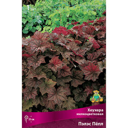 ������ ������ ������� �������������� ����� ϸ��   ����