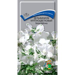 ������ ������ ���������� ��������������� ����� �������   ����