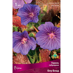 ������ ������ �������� ��������� ������ ��� ����   ����