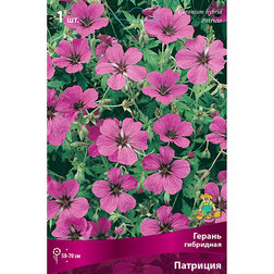 ������ ������ ������ ��������� ��������   ����