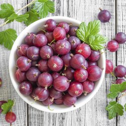 ������ ������ ��������� �������   ����