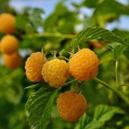 ������ ������ ������ ������������ �����������   ����