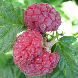 ������ ������ ������ ������   ����