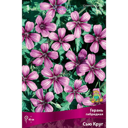 ������ ������ ������ ��������� ��� ����   ����