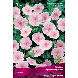 ������ ������ ������ �������-������� ���.��������   ����