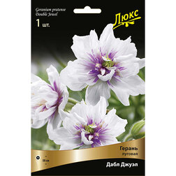 ������ ������ ������ ������� ���� �����   ����