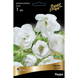 ������ ������ ������ ������� �����   ����