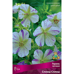 ������ ������ �������� ������� ������ ����� �����   ����