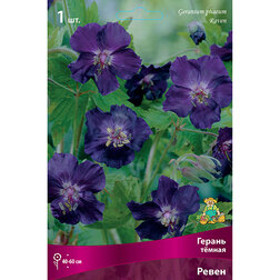 ������ ������ ������ ����� �����   ����