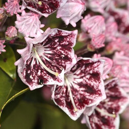 ������ ������ ������� ������������� ����� ������   ����