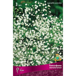 ������ ������ ��������� �����������   ����