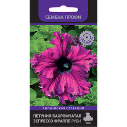 ������ ������ ������� ����������� �������� ������ ���� (������ �����)   ����