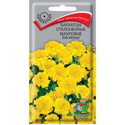 ������ ������ �������� ����������� �������� ��� �����   ����