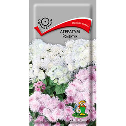 ������ ������ �������� ��������   ����