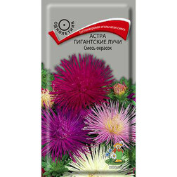 ������ ������ ����� ���������� ���� ����� �������   ����