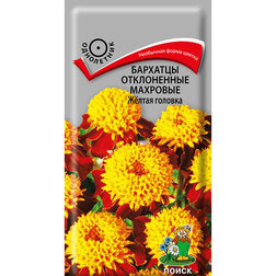 ������ ������ �������� ����������� �������� Ƹ���� �������   ����