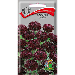 ������ ������ ������ ���� ���   ����