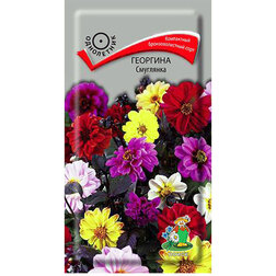 ������ ������ �������� ���������   ����