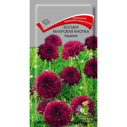 ������ ������ ������ �������� ������ ��������   ����