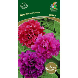 ������ ������ ������� �������� ����   ����