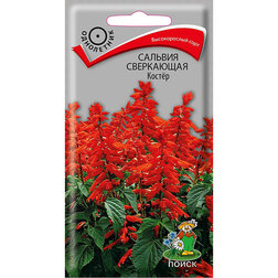 ������ ������ ������� ���������� �����   ����