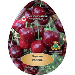 ������ ������ ������� ������   ����