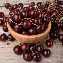 ������ ������ ������� ��������   ����