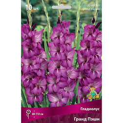 ������ ������ ��������� ����� ����   ����