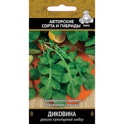 ������ ������ ����� (������) ��������   ����