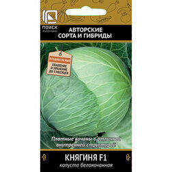 ������ ������ ������� ������������ ������� F1   ����