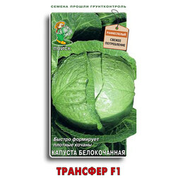 ������ ������ ������� ������������ �������� F1   ����