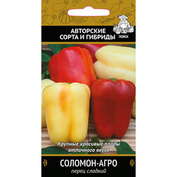 ������ ������ ����� ������� �������-����   ����