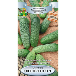 ������ ������ ������ �������� F1   ����