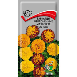 ������ ������ �������� ����������� �������� ��� �����   ����