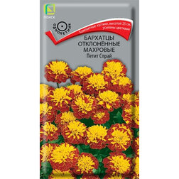 ������ ������ �������� ����������� �������� ����� �����   ����