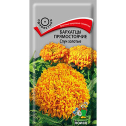 ������ ������ �������� ������������ ���� �������   ����