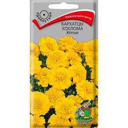 ������ ������ �������� ������� Ƹ����   ����