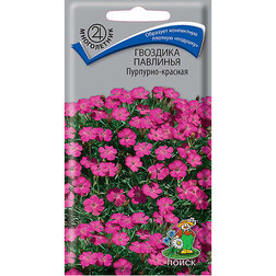 ������ ������ �������� �������� ��������-�������   ����